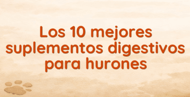 Los 10 mejores suplementos digestivos para hurones