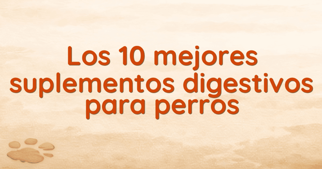 Los 10 mejores suplementos digestivos para perros