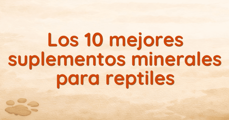 Los 10 mejores suplementos minerales para reptiles