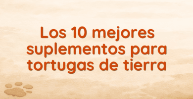 Los 10 mejores suplementos para tortugas de tierra