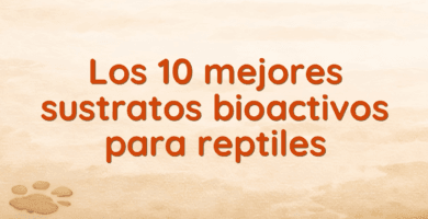 Los 10 mejores sustratos bioactivos para reptiles