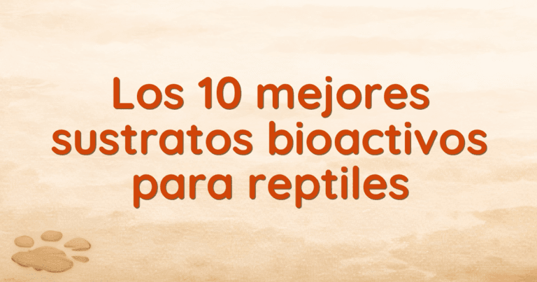 Los 10 mejores sustratos bioactivos para reptiles