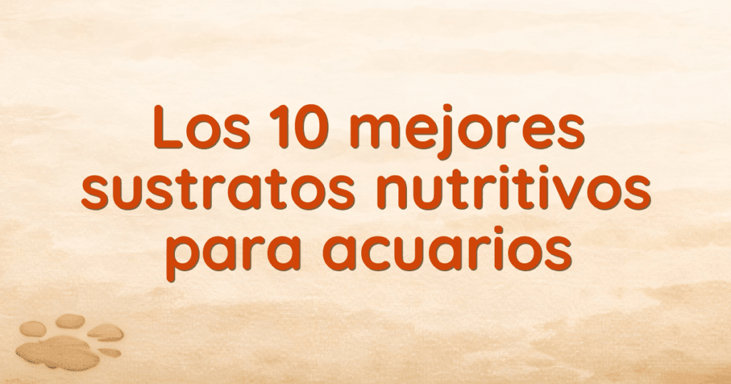 Los 10 mejores sustratos nutritivos para acuarios
