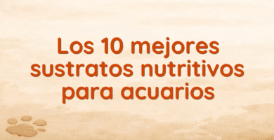 Los 10 mejores sustratos nutritivos para acuarios