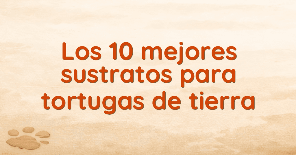 Los 10 mejores sustratos para tortugas de tierra
