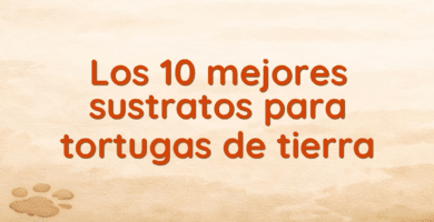 Los 10 mejores sustratos para tortugas de tierra