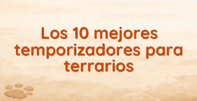Los 10 mejores temporizadores para terrarios Los 10 mejores temporizadores para terrarios