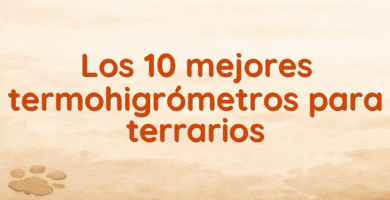 Los 10 mejores termohigrómetros para terrarios Los 10 mejores termohigrómetros para terrarios