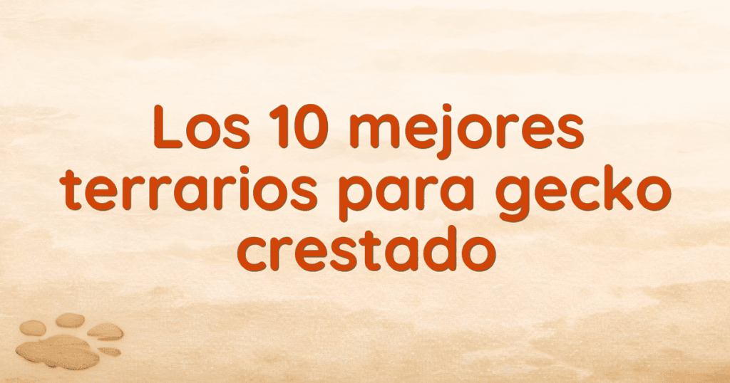 Los 10 mejores terrarios para gecko crestado
