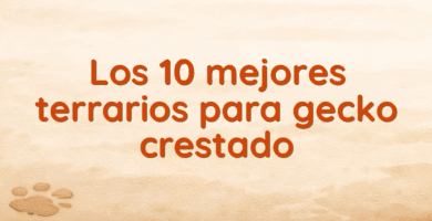 Los 10 mejores terrarios para gecko crestado