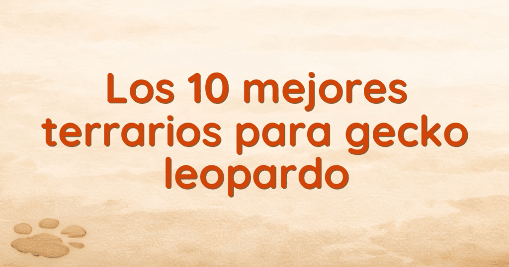 Los 10 mejores terrarios para gecko leopardo Los 10 mejores terrarios para gecko leopardo