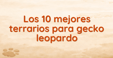 Los 10 mejores terrarios para gecko leopardo