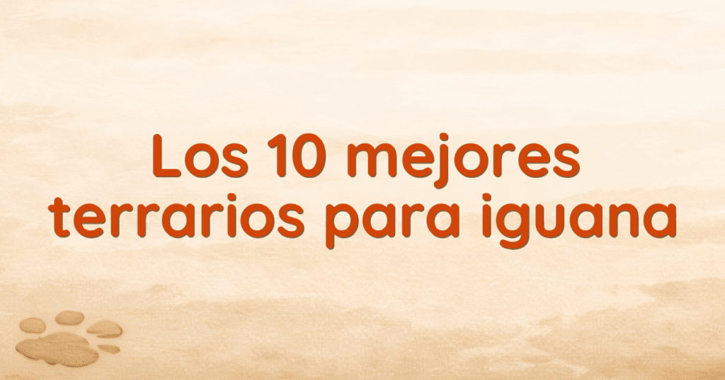 Los 10 mejores terrarios para iguana