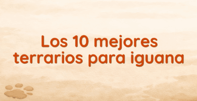 Los 10 mejores terrarios para iguana