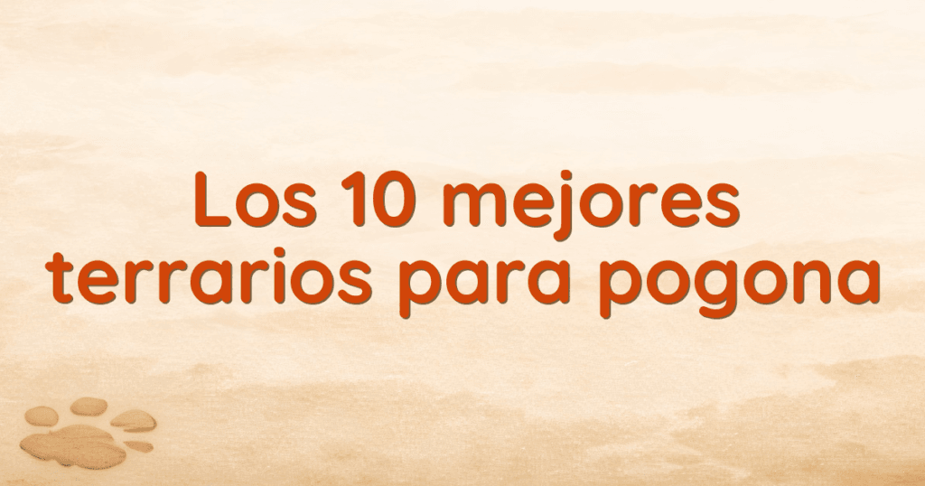 Los 10 mejores terrarios para pogona Los 10 mejores terrarios para pogona