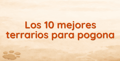 Los 10 mejores terrarios para pogona Los 10 mejores terrarios para pogona