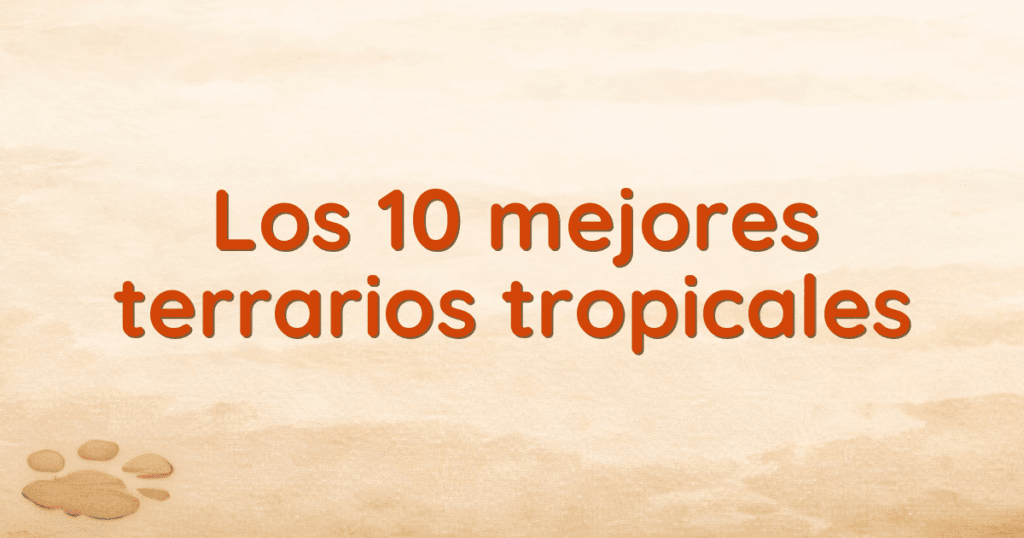 Los 10 mejores terrarios tropicales Los 10 mejores terrarios tropicales
