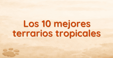 Los 10 mejores terrarios tropicales