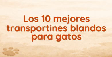 Los 10 mejores transportines blandos para gatos