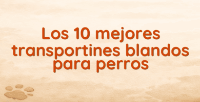 Los 10 mejores transportines blandos para perros Los 10 mejores transportines blandos para perros
