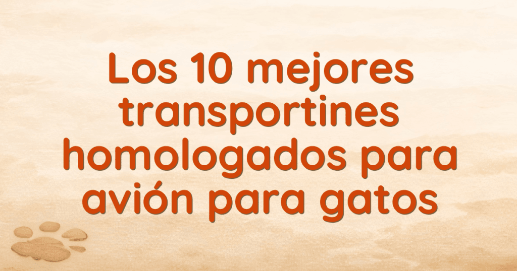 Los 10 mejores transportines homologados para avión para gatos
