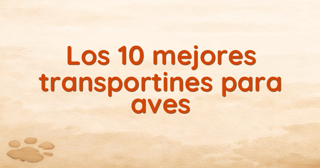 Los 10 mejores transportines para aves Los 10 mejores transportines para aves