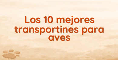 Los 10 mejores transportines para aves