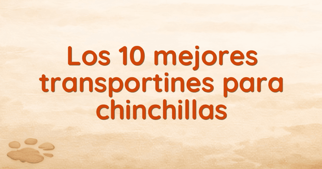 Los 10 mejores transportines para chinchillas