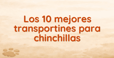Los 10 mejores transportines para chinchillas