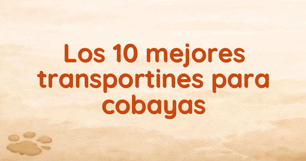 Los 10 mejores transportines para cobayas