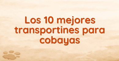 Los 10 mejores transportines para cobayas Los 10 mejores transportines para cobayas