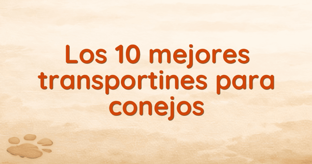Los 10 mejores transportines para conejos Los 10 mejores transportines para conejos