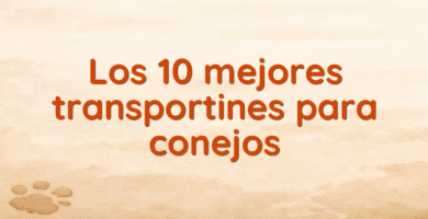 Los 10 mejores transportines para conejos