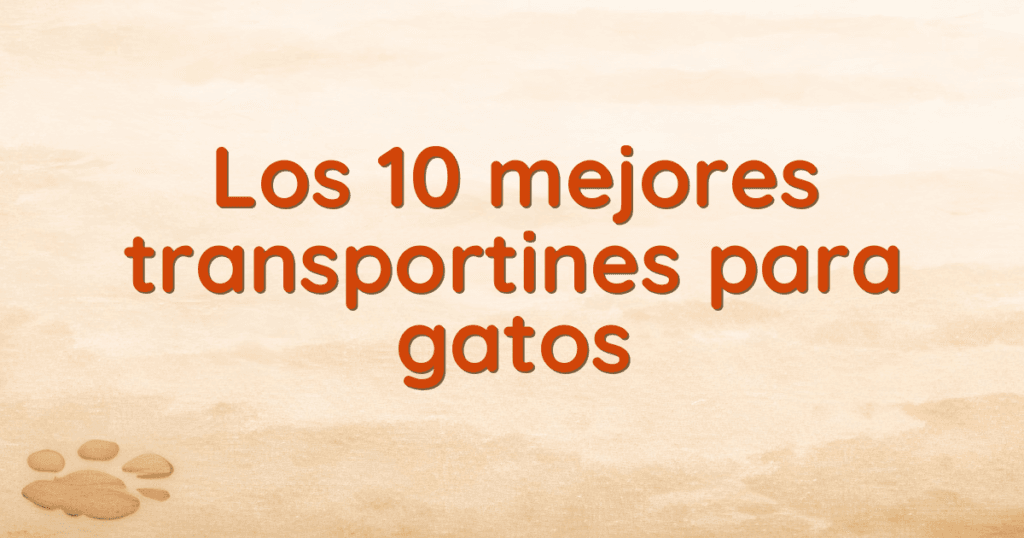 Los 10 mejores transportines para gatos