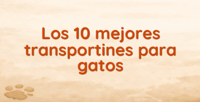 Los 10 mejores transportines para gatos