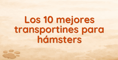 Los 10 mejores transportines para hámsters Los 10 mejores transportines para hámsters
