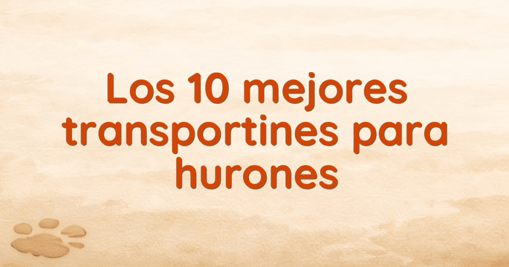 Los 10 mejores transportines para hurones