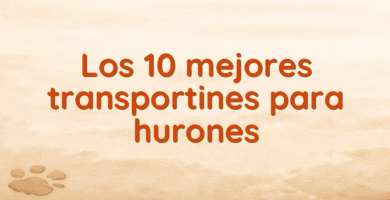 Los 10 mejores transportines para hurones Los 10 mejores transportines para hurones