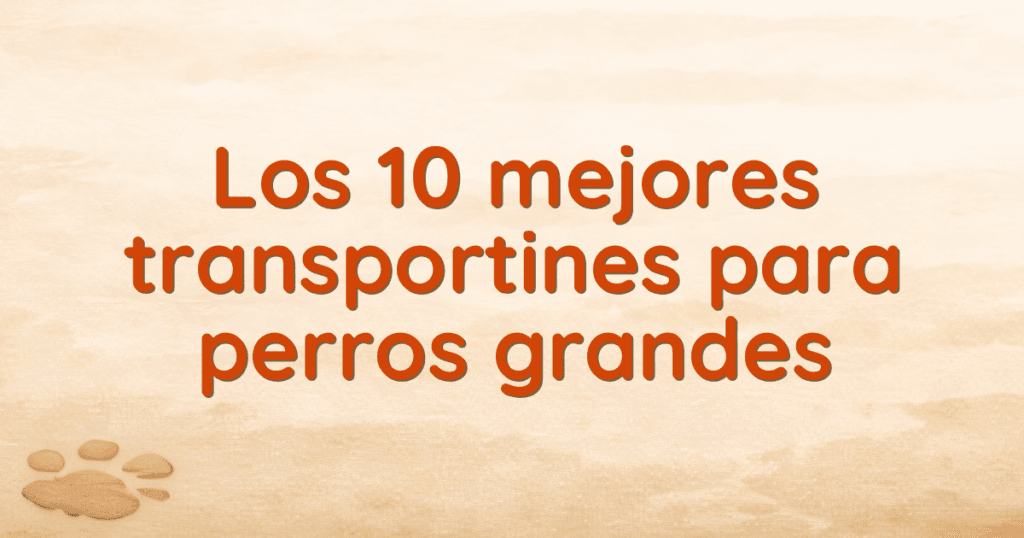 Los 10 mejores transportines para perros grandes