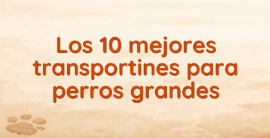 Los 10 mejores transportines para perros grandes