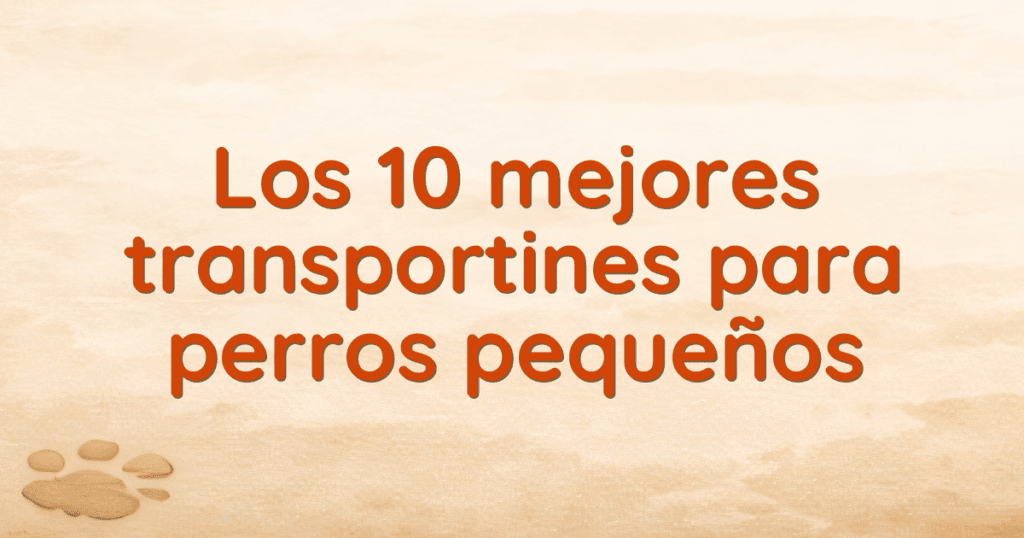 Los 10 mejores transportines para perros pequeños