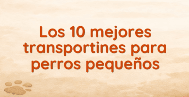Los 10 mejores transportines para perros pequeños