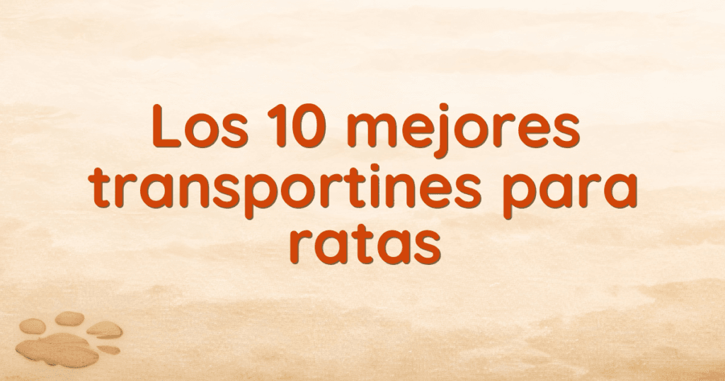 Los 10 mejores transportines para ratas