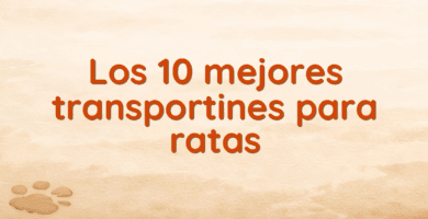 Los 10 mejores transportines para ratas