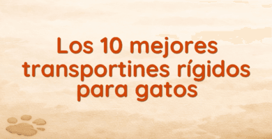 Los 10 mejores transportines rígidos para gatos Los 10 mejores transportines rígidos para gatos