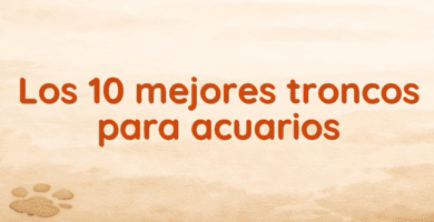 Los 10 mejores troncos para acuarios