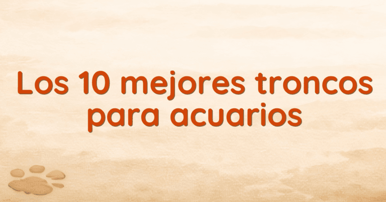 Los 10 mejores troncos para acuarios
