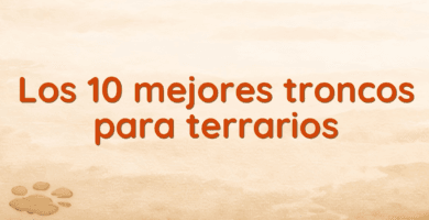 Los 10 mejores troncos para terrarios Los 10 mejores troncos para terrarios
