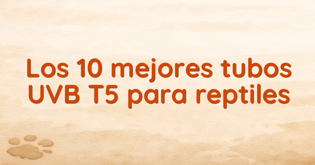Los 10 mejores tubos UVB T5 para reptiles Los 10 mejores tubos UVB T5 para reptiles