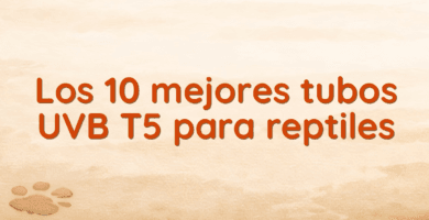Los 10 mejores tubos UVB T5 para reptiles Los 10 mejores tubos UVB T5 para reptiles